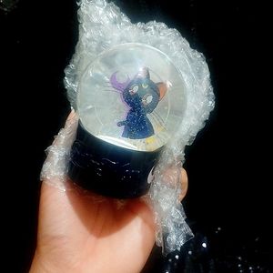 Luna snow globe